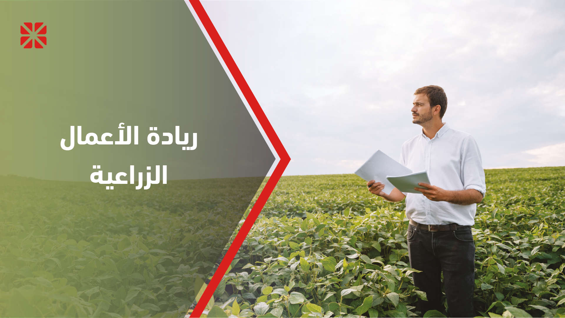 الريادة في القطاع الزراعي